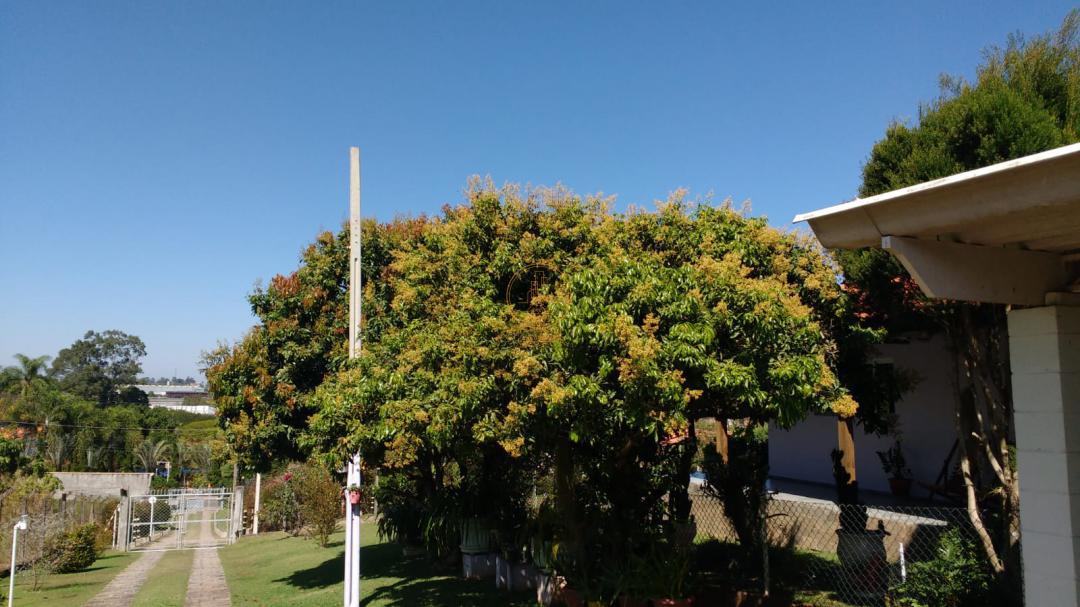 Chácara, 3 quartos - Foto 4