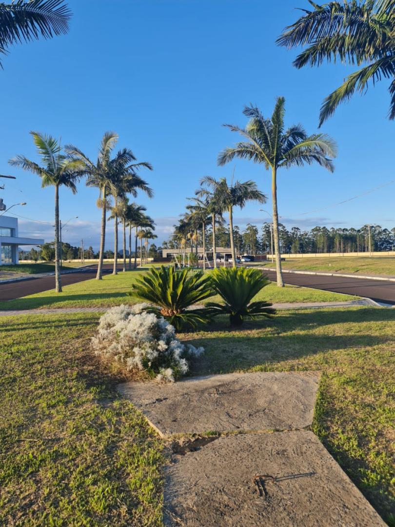 Terreno, 537 m² - Foto 2