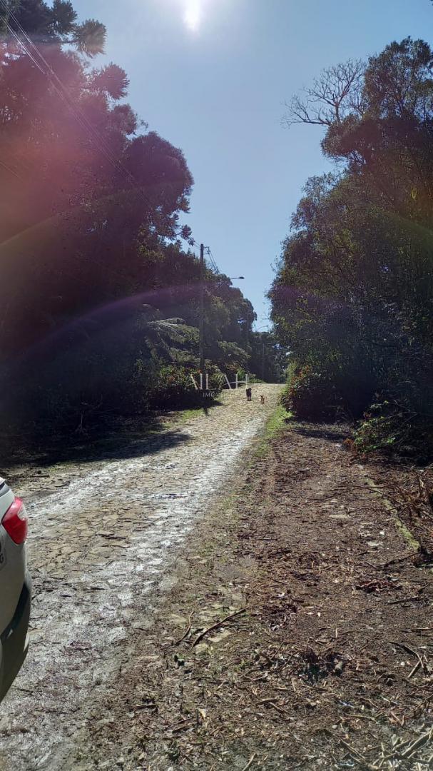 Terreno, 750 m² - Foto 4