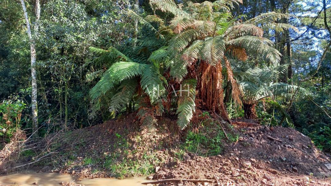 Terreno, 750 m² - Foto 6