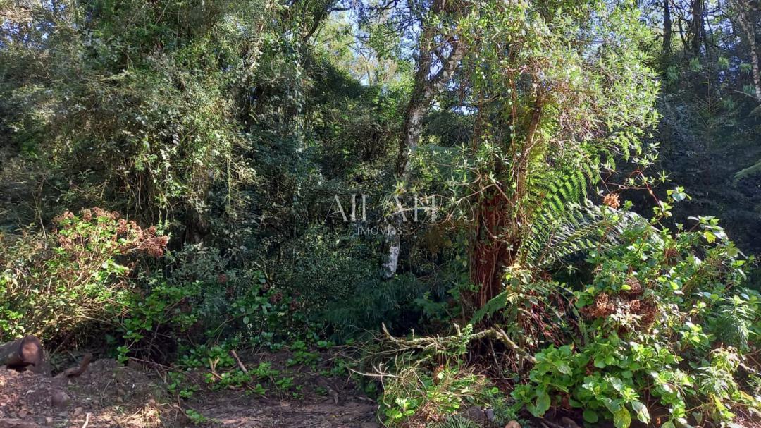 Terreno, 750 m² - Foto 7