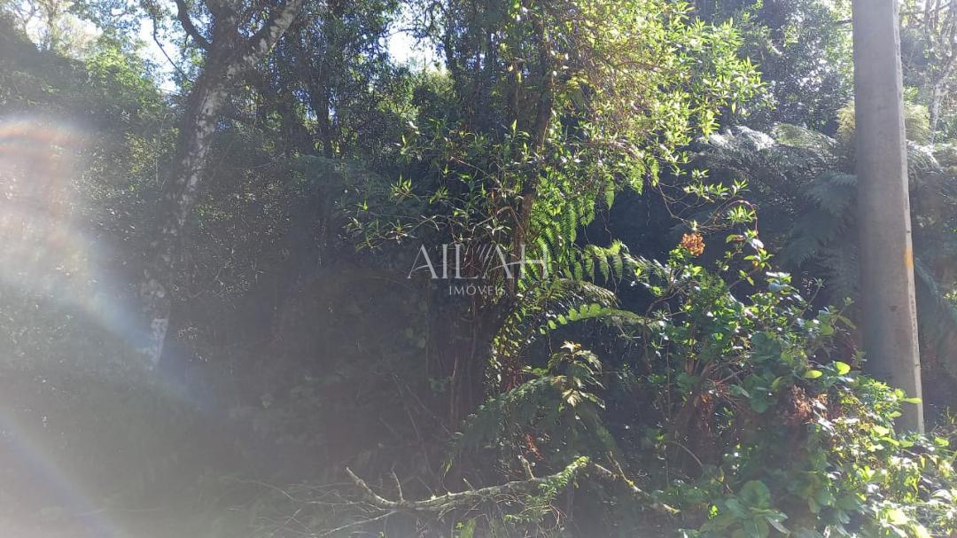 Terreno, 750 m² - Foto 8