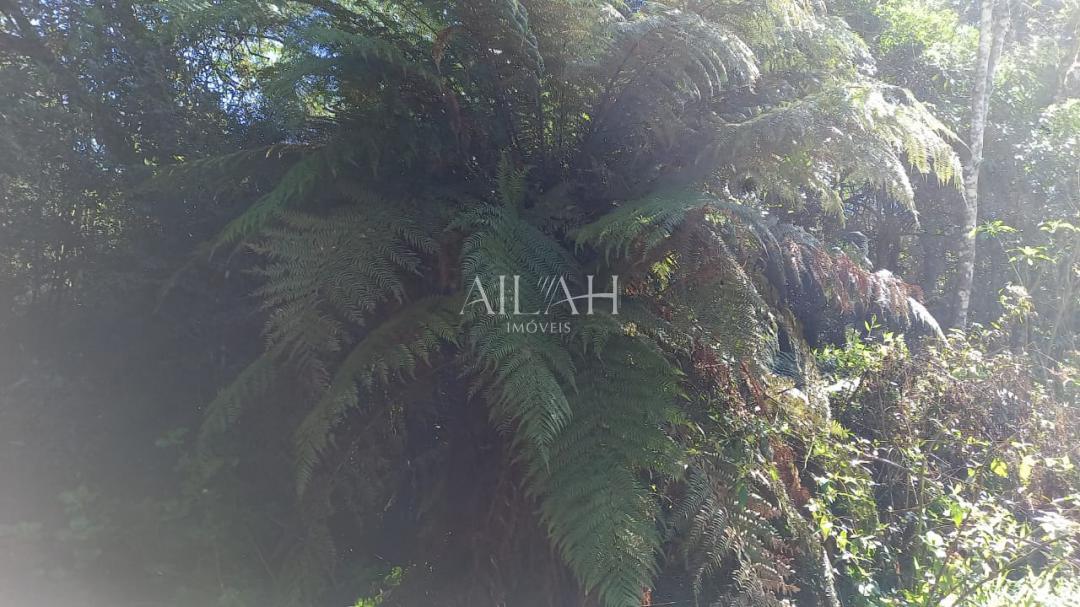 Terreno, 750 m² - Foto 9