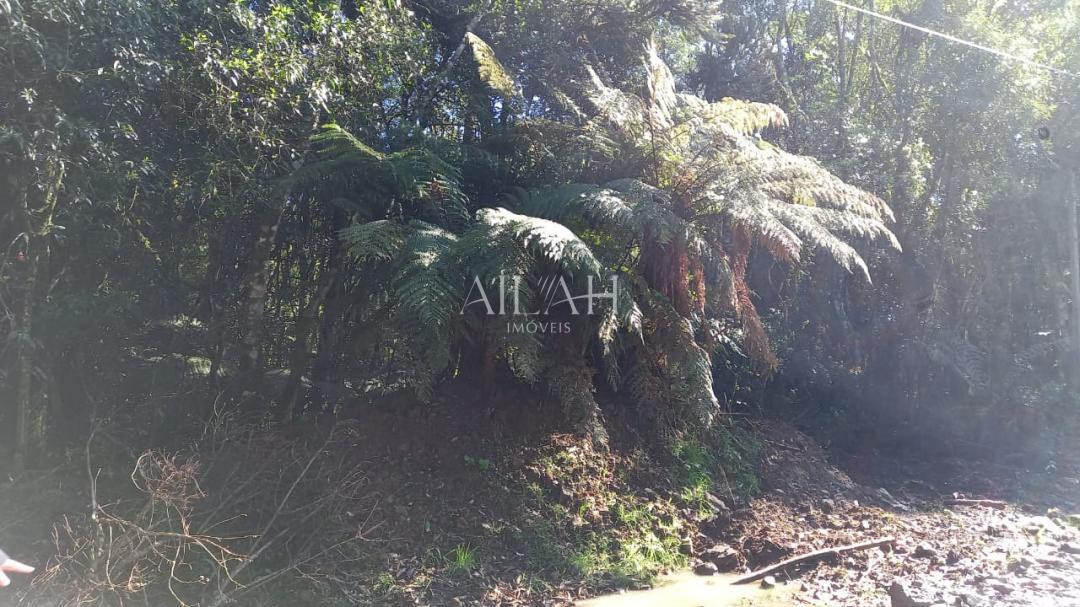 Terreno, 750 m² - Foto 10