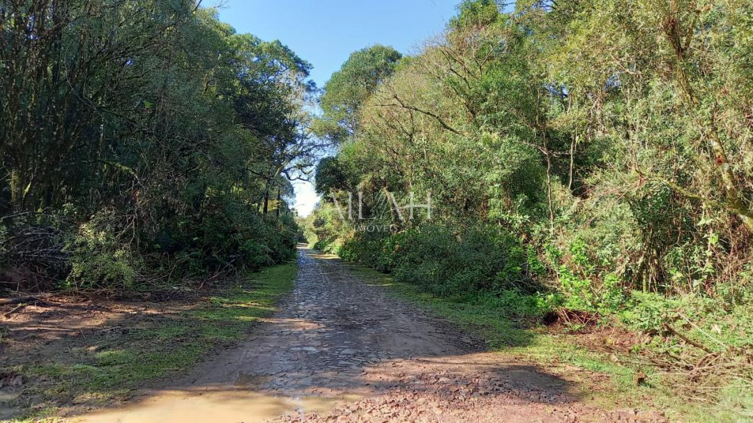 Terreno, 750 m² - Foto 12