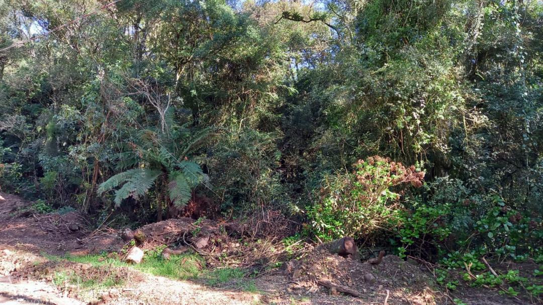 Terreno, 750 m² - Foto 13