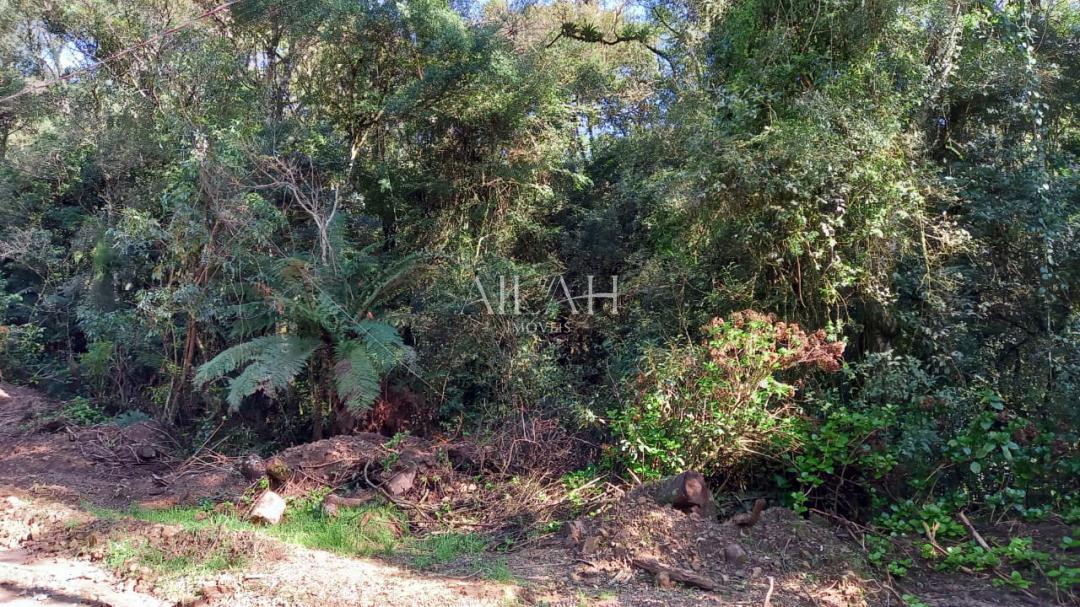 Terreno, 750 m² - Foto 13