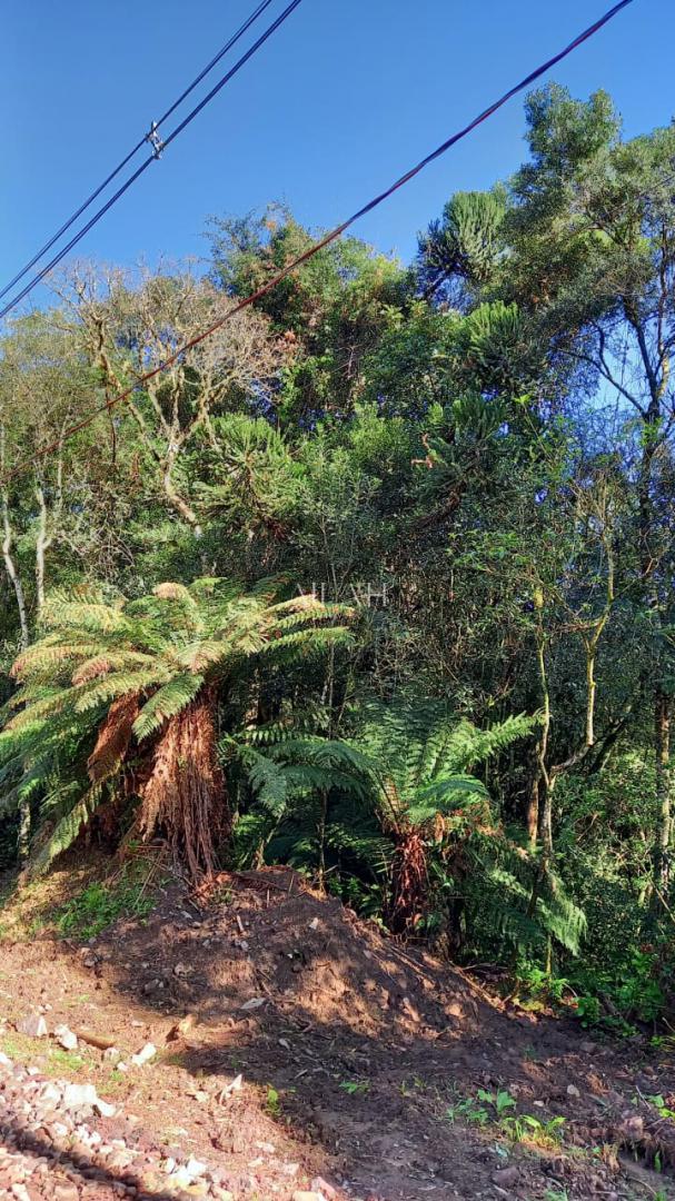 Terreno, 750 m² - Foto 14