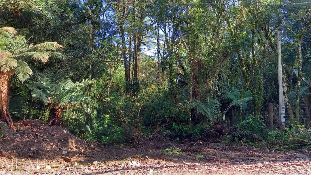 Terreno, 750 m² - Foto 15
