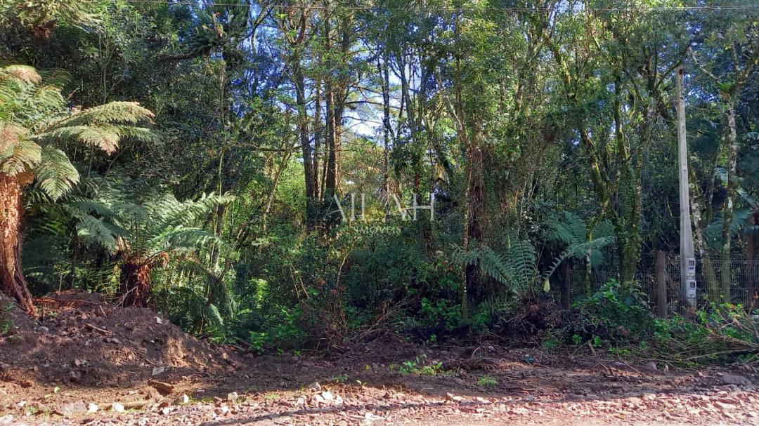 Terreno, 750 m² - Foto 15