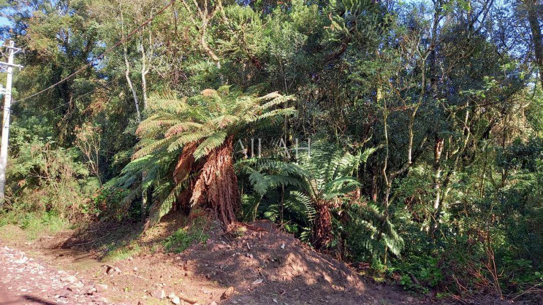 Terreno, 750 m² - Foto 16