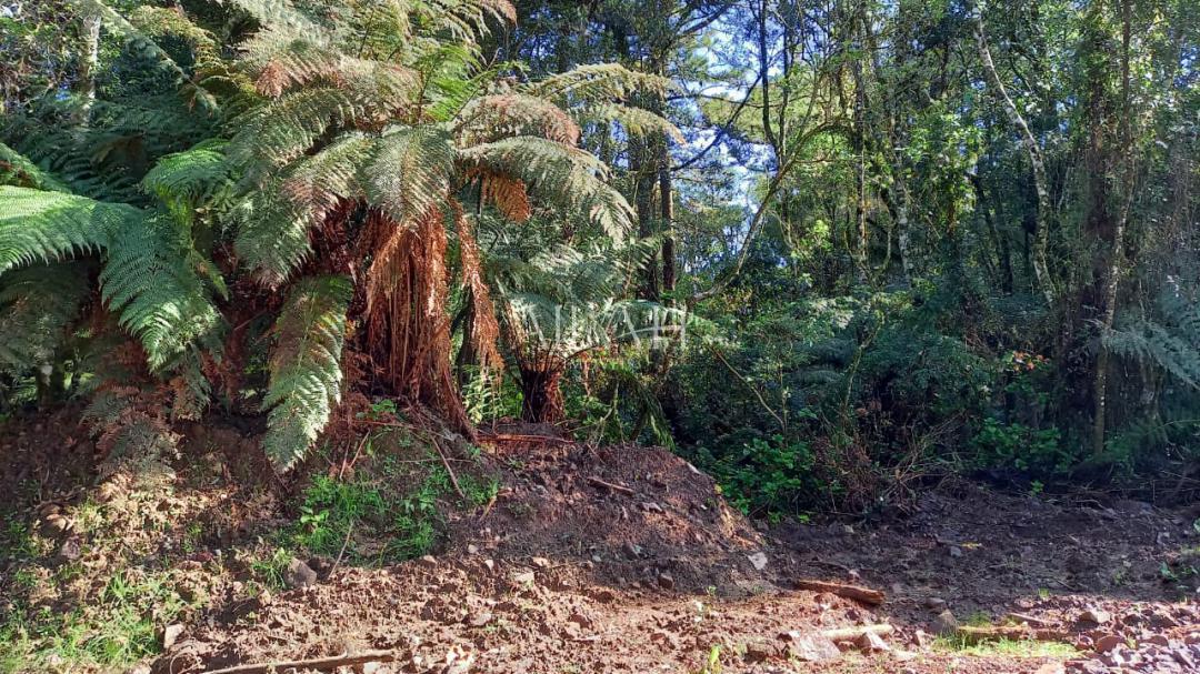 Terreno, 750 m² - Foto 17