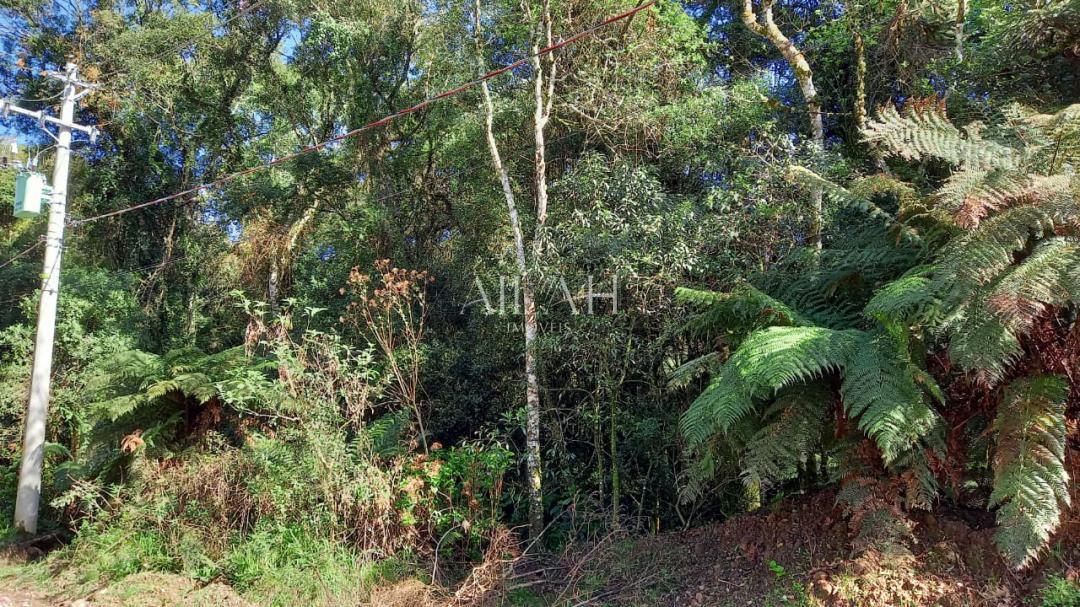 Terreno, 750 m² - Foto 18