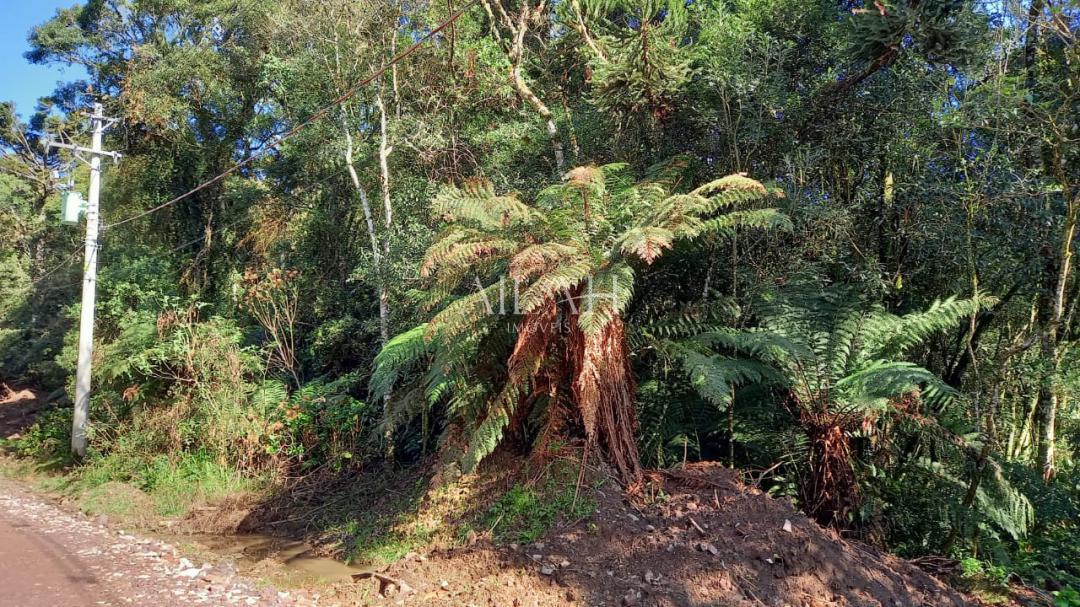 Terreno, 750 m² - Foto 19