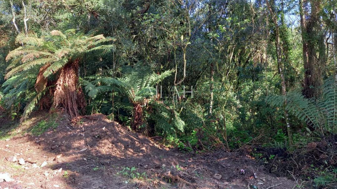 Terreno, 750 m² - Foto 20