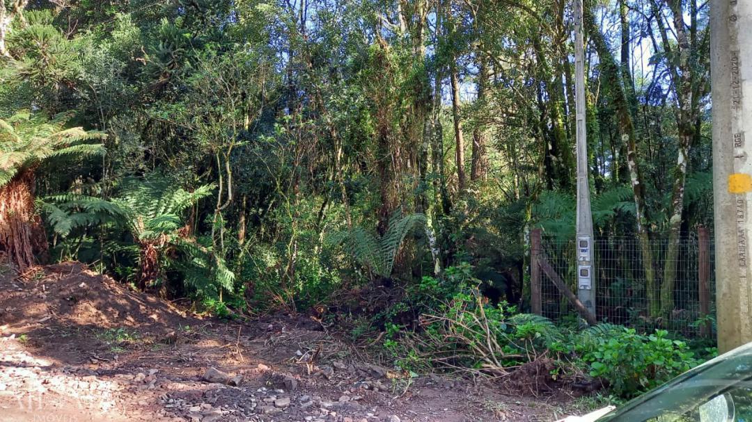 Terreno, 750 m² - Foto 22
