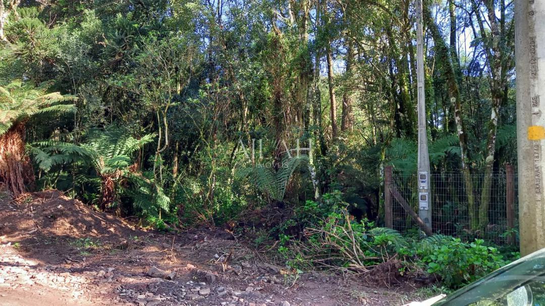 Terreno, 750 m² - Foto 22