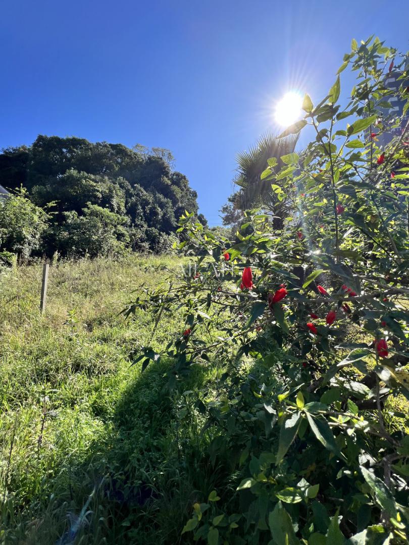 Terreno, 897 m² - Foto 3