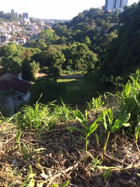 Terreno, 897 m² - Foto 4