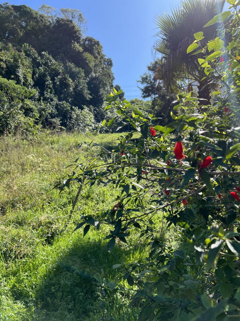 Terreno, 897 m² - Foto 7