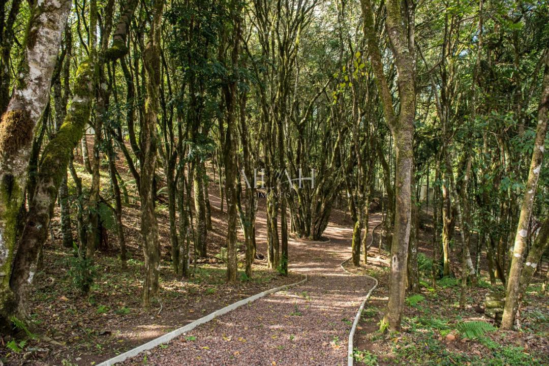 Terreno, 750 m² - Foto 31