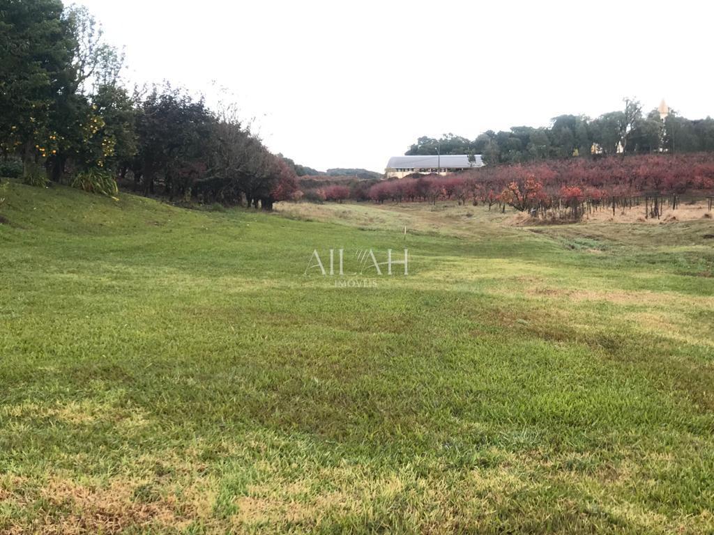 Terreno, 527 m² - Foto 5