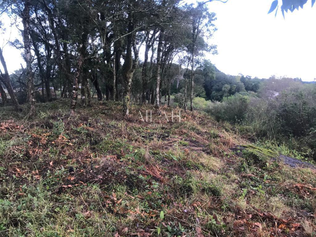 Terreno, 527 m² - Foto 10