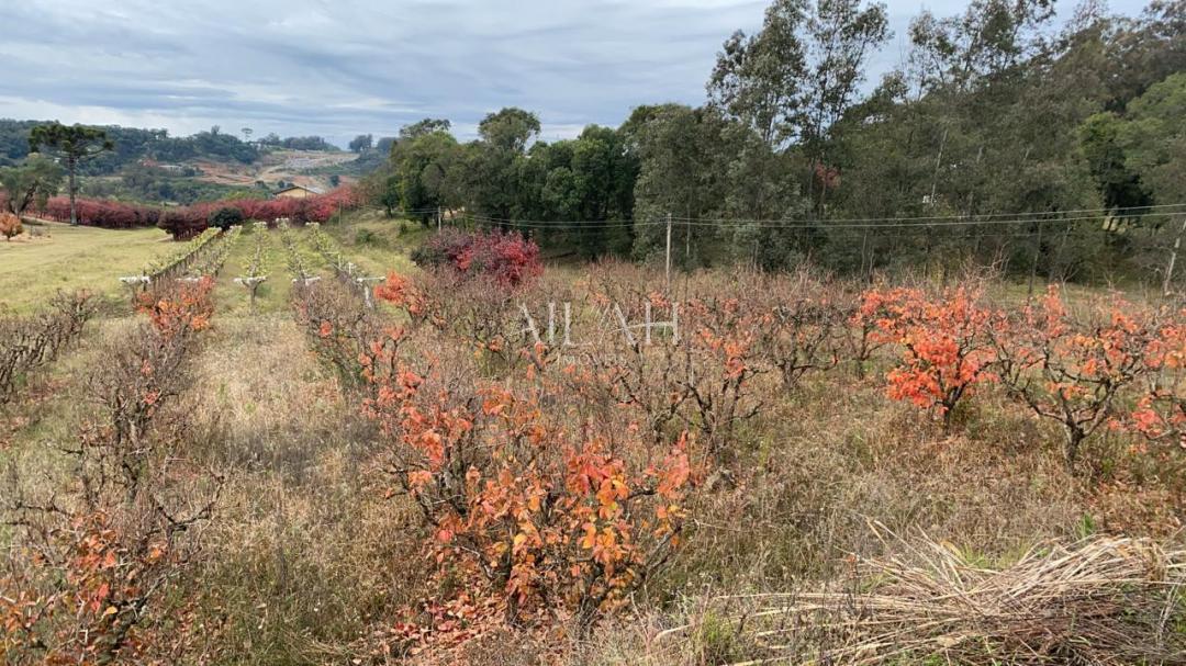 Terreno, 527 m² - Foto 18