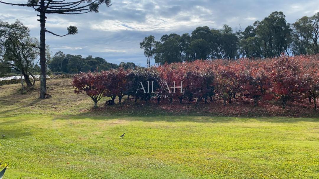 Terreno, 527 m² - Foto 21