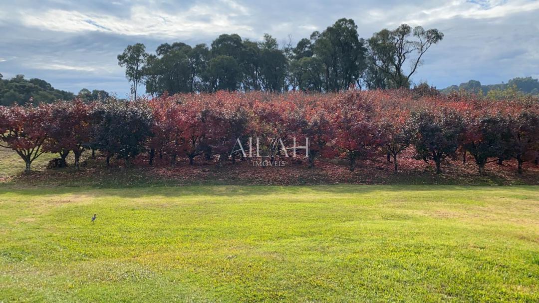 Terreno, 527 m² - Foto 22