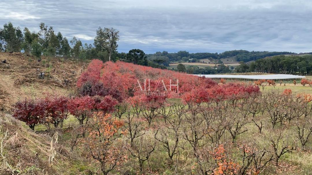 Terreno, 527 m² - Foto 23