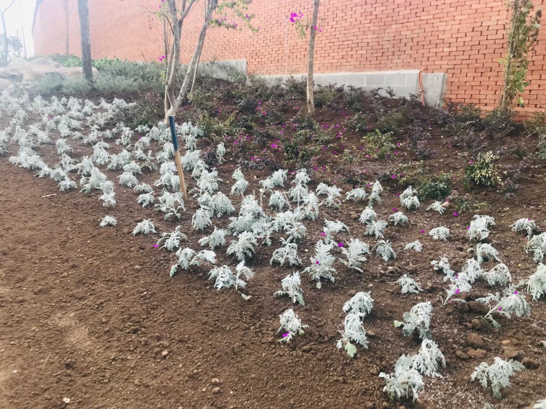 Terreno, 527 m² - Foto 27