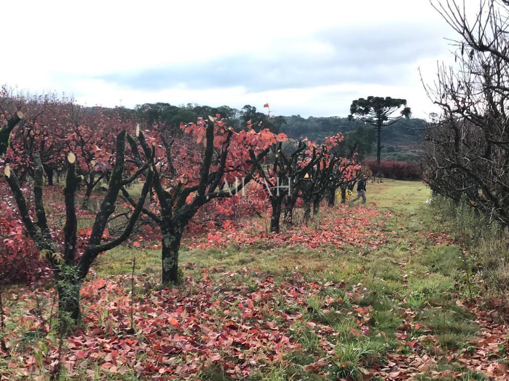 Terreno, 527 m² - Foto 29