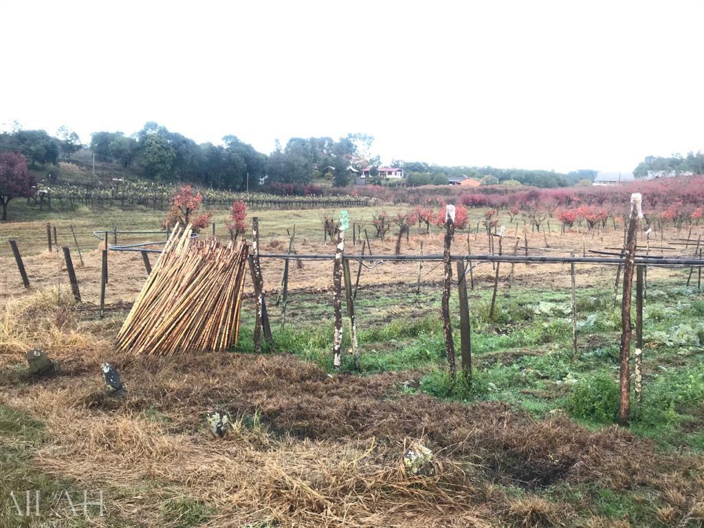 Terreno, 527 m² - Foto 33