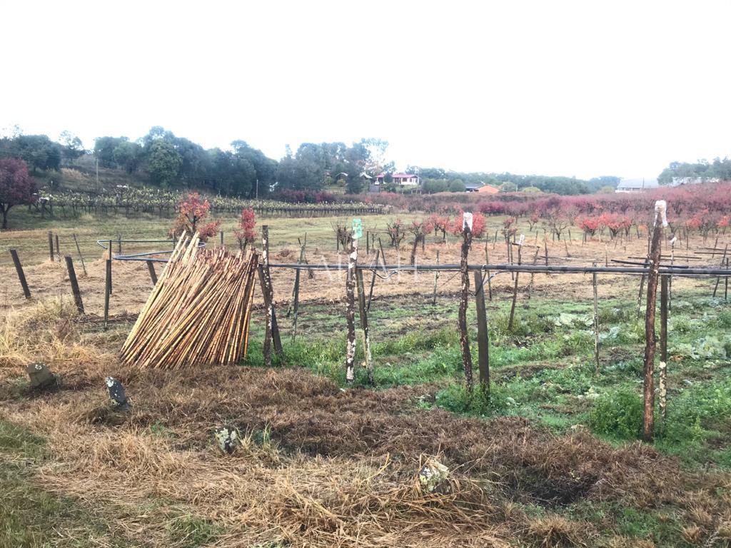 Terreno, 527 m² - Foto 33