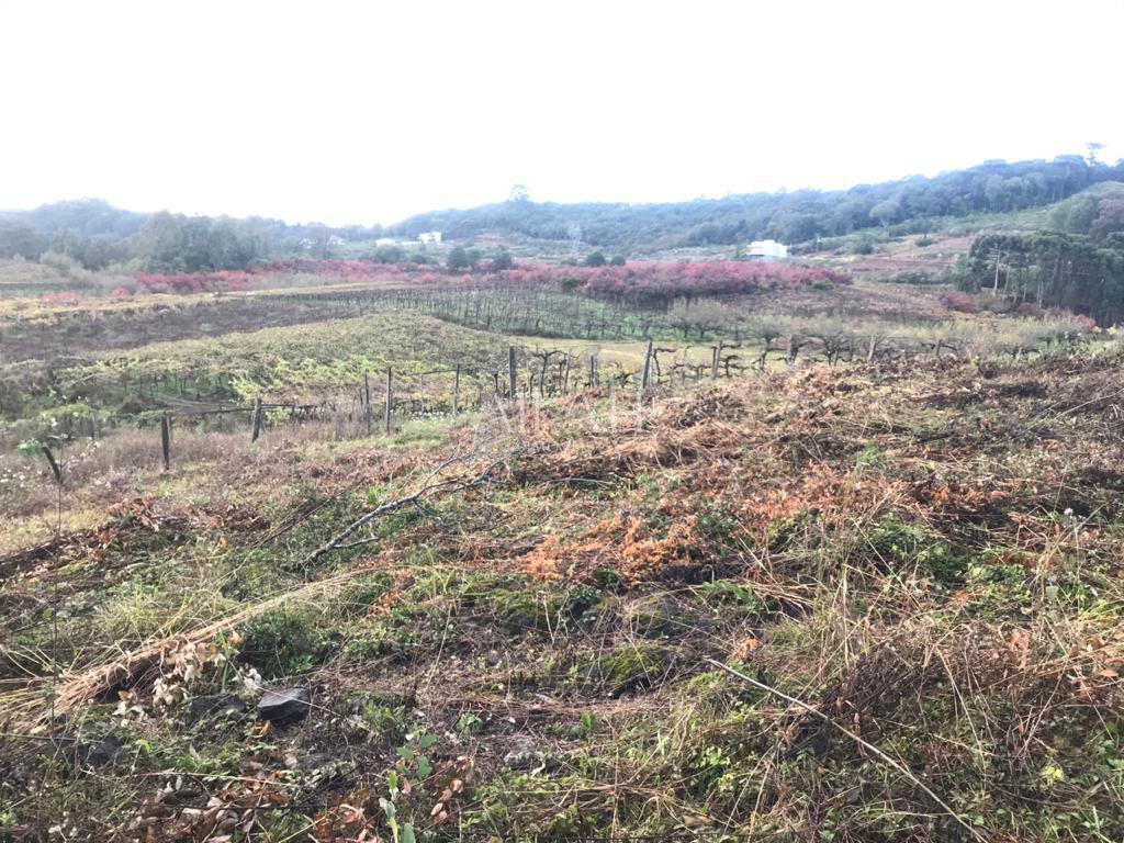 Terreno, 527 m² - Foto 35