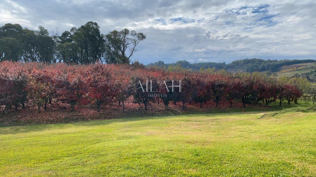 Terreno, 527 m² - Foto 37