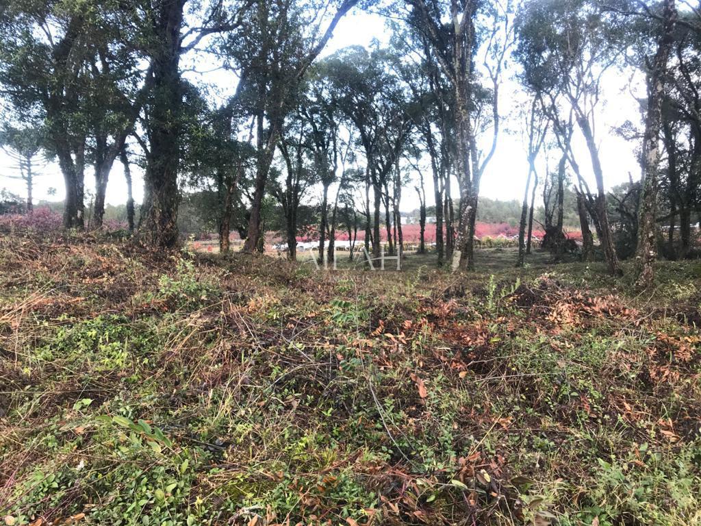 Terreno, 527 m² - Foto 38