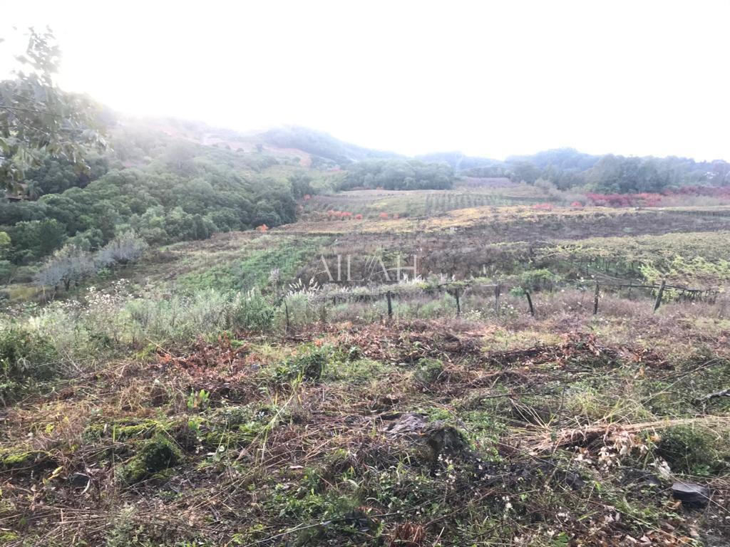 Terreno, 527 m² - Foto 39