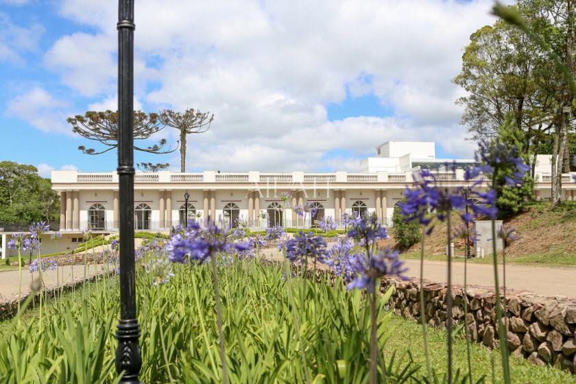 Terreno, 1002 m² - Foto 3