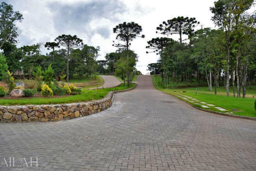 Terreno, 1002 m² - Foto 12