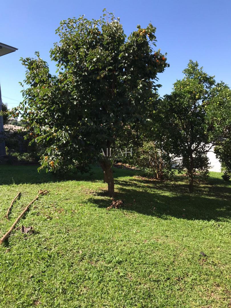 Terreno, 360 m² - Foto 5