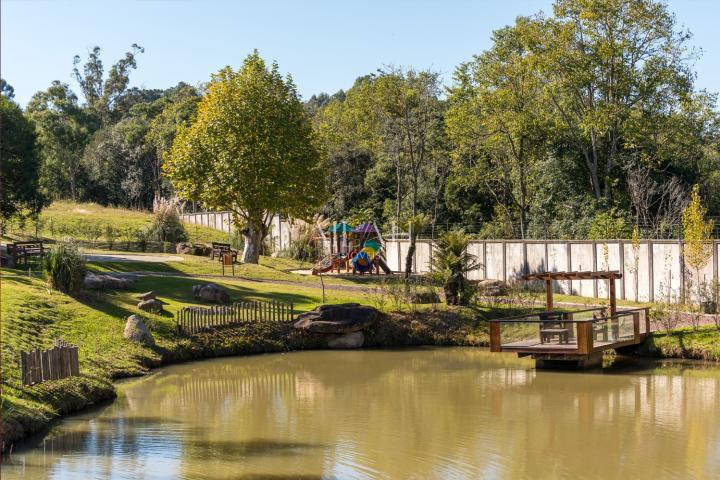 Terreno, 750 m² - Foto 3