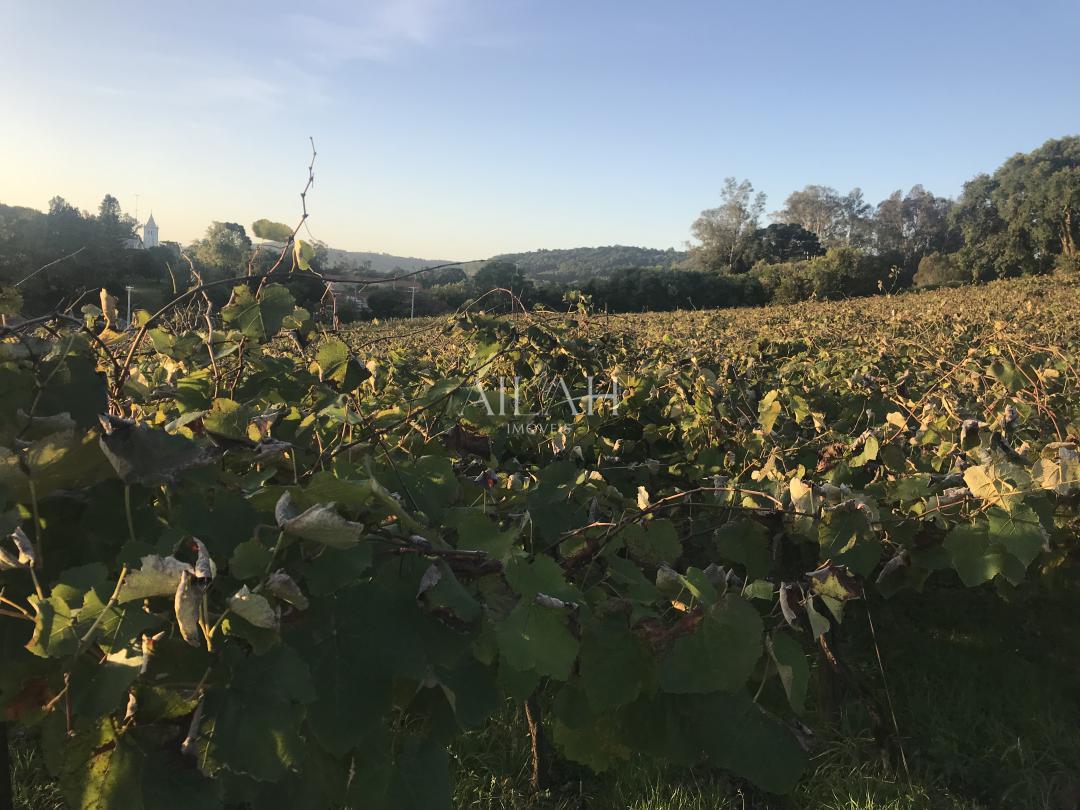 Terreno, 12 m² - Foto 2