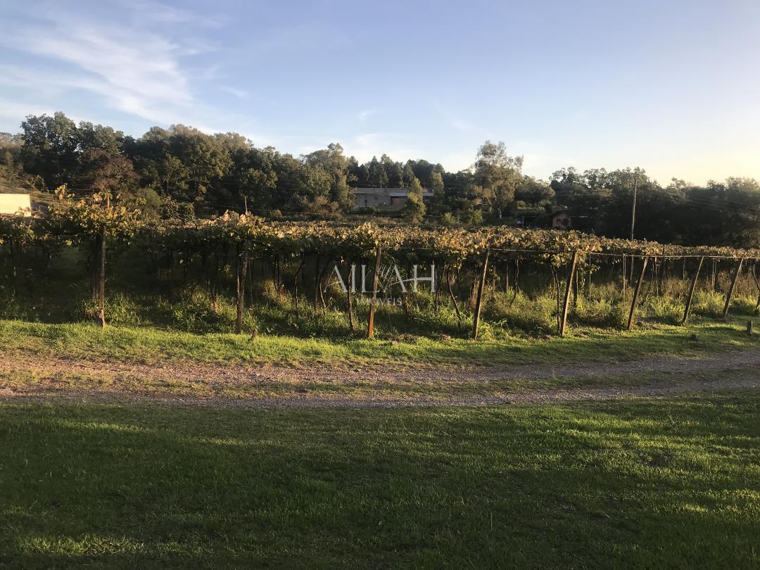 Terreno, 12 m² - Foto 3