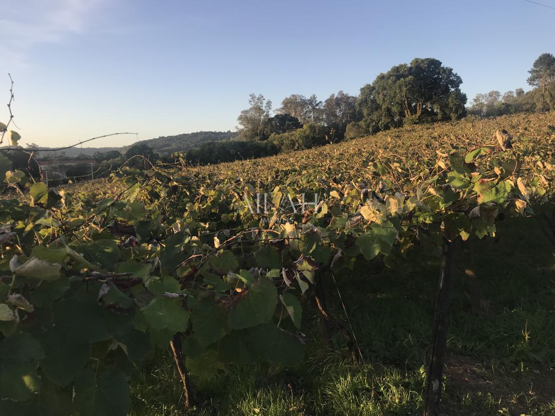 Terreno, 12 m² - Foto 4