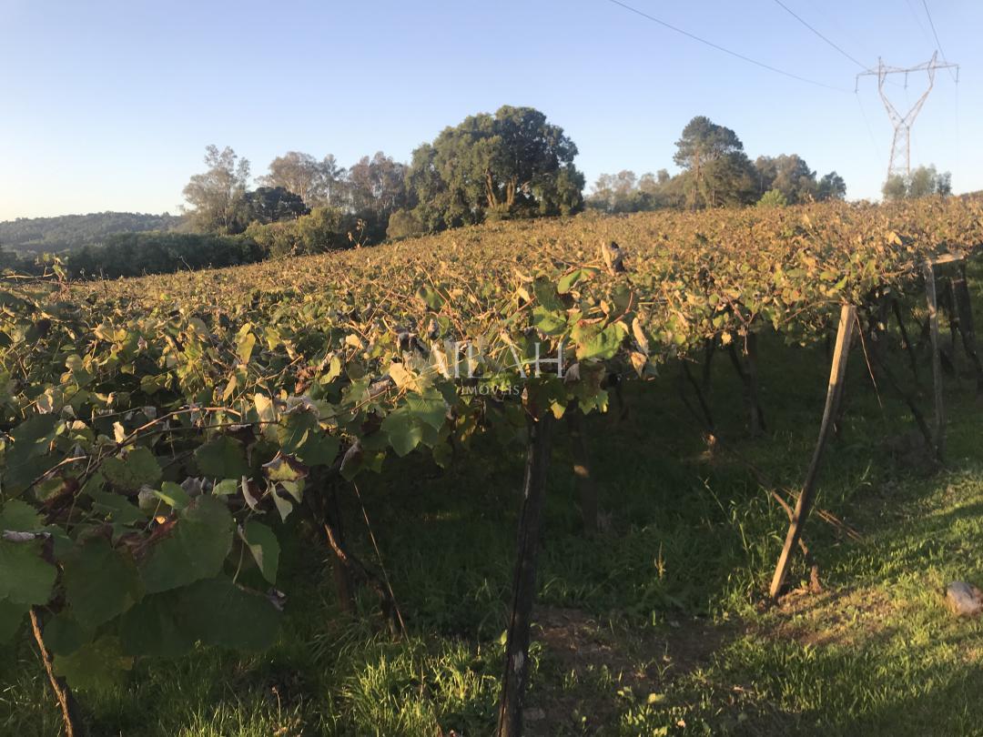 Terreno, 12 m² - Foto 6