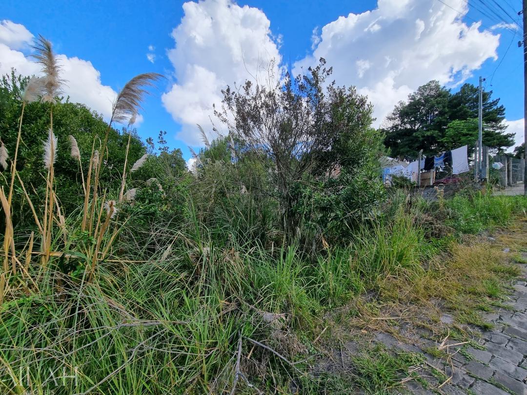 Terreno, 720 m² - Foto 3