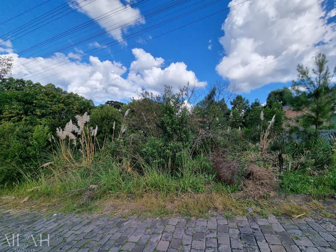 Terreno, 720 m² - Foto 4