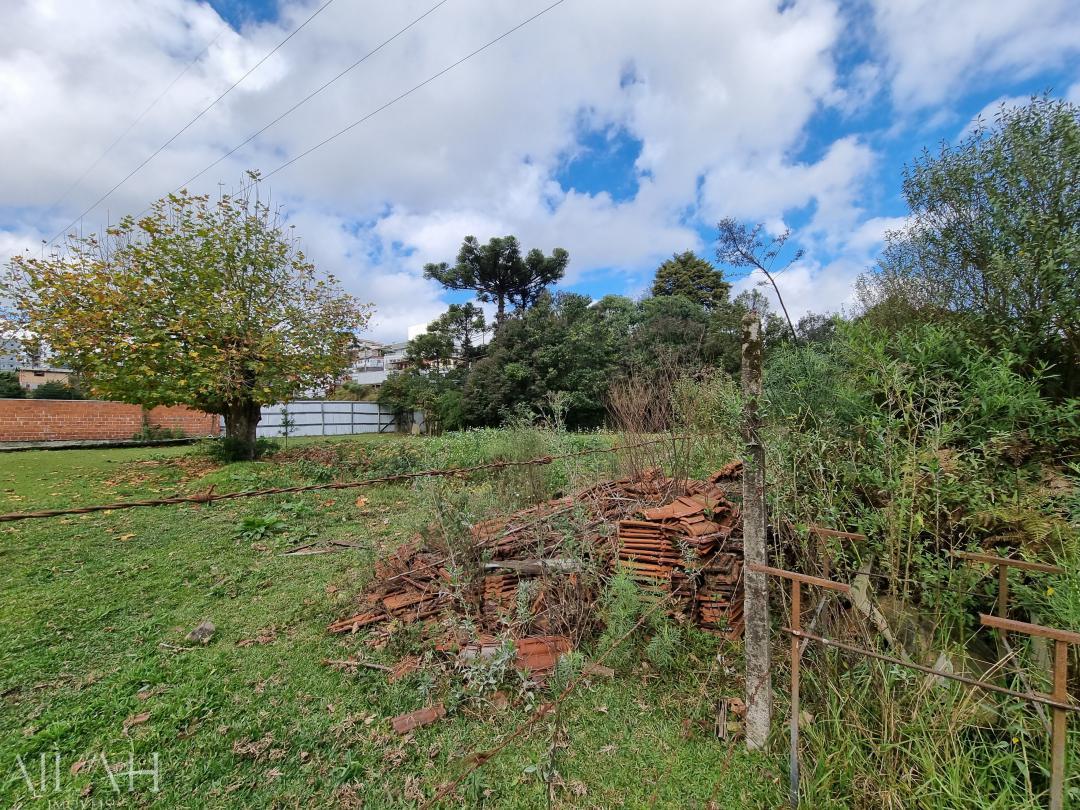 Terreno, 18670 m² - Foto 4